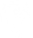 Platinum Lion Peptides logo